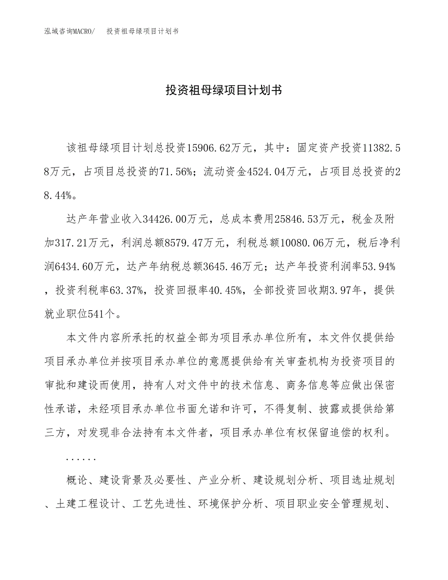 投资祖母绿项目计划书方案.docx_第1页