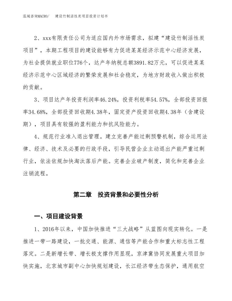 建设竹制活性炭项目投资计划书方案.docx_第5页