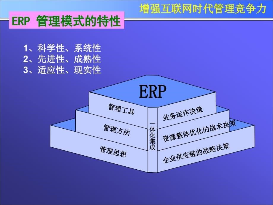 企业ERP项目实施的常见问题_第5页