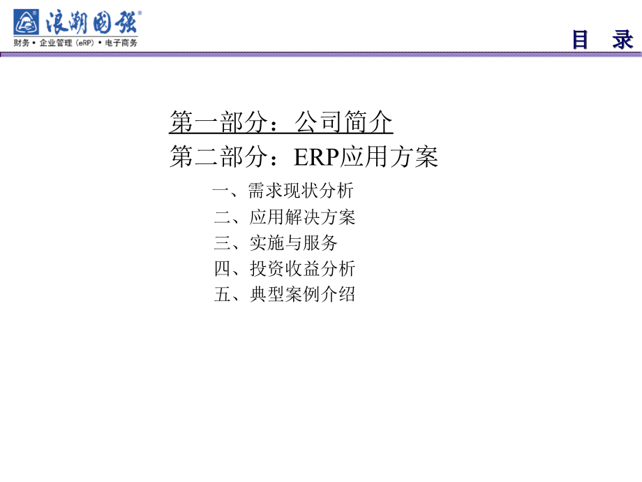 某企业ERP应用方案_第2页