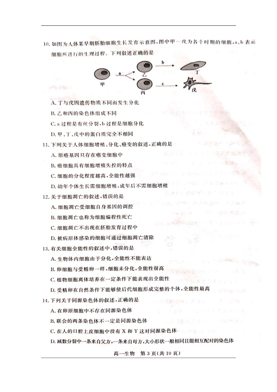 河北省邯郸市2018-2019学年高一下学期期中考试 生物 扫描版_第3页