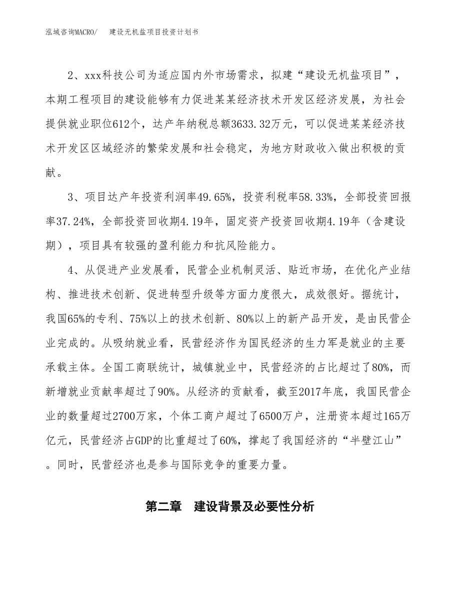 建设无机盐项目投资计划书方案.docx_第5页