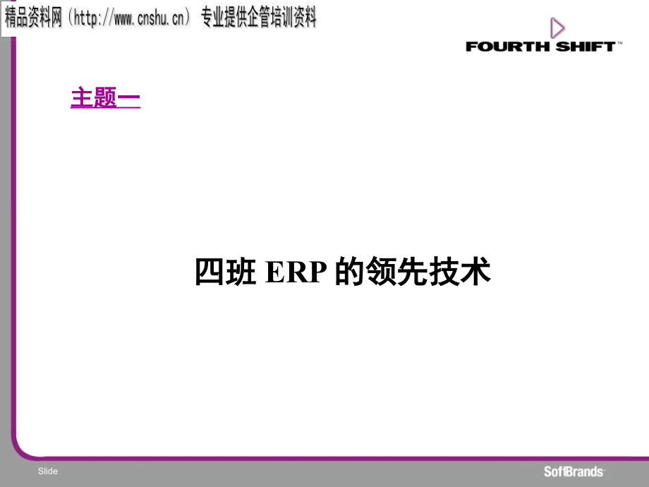 某公司企业资源计划(ERP)系统概述_第4页