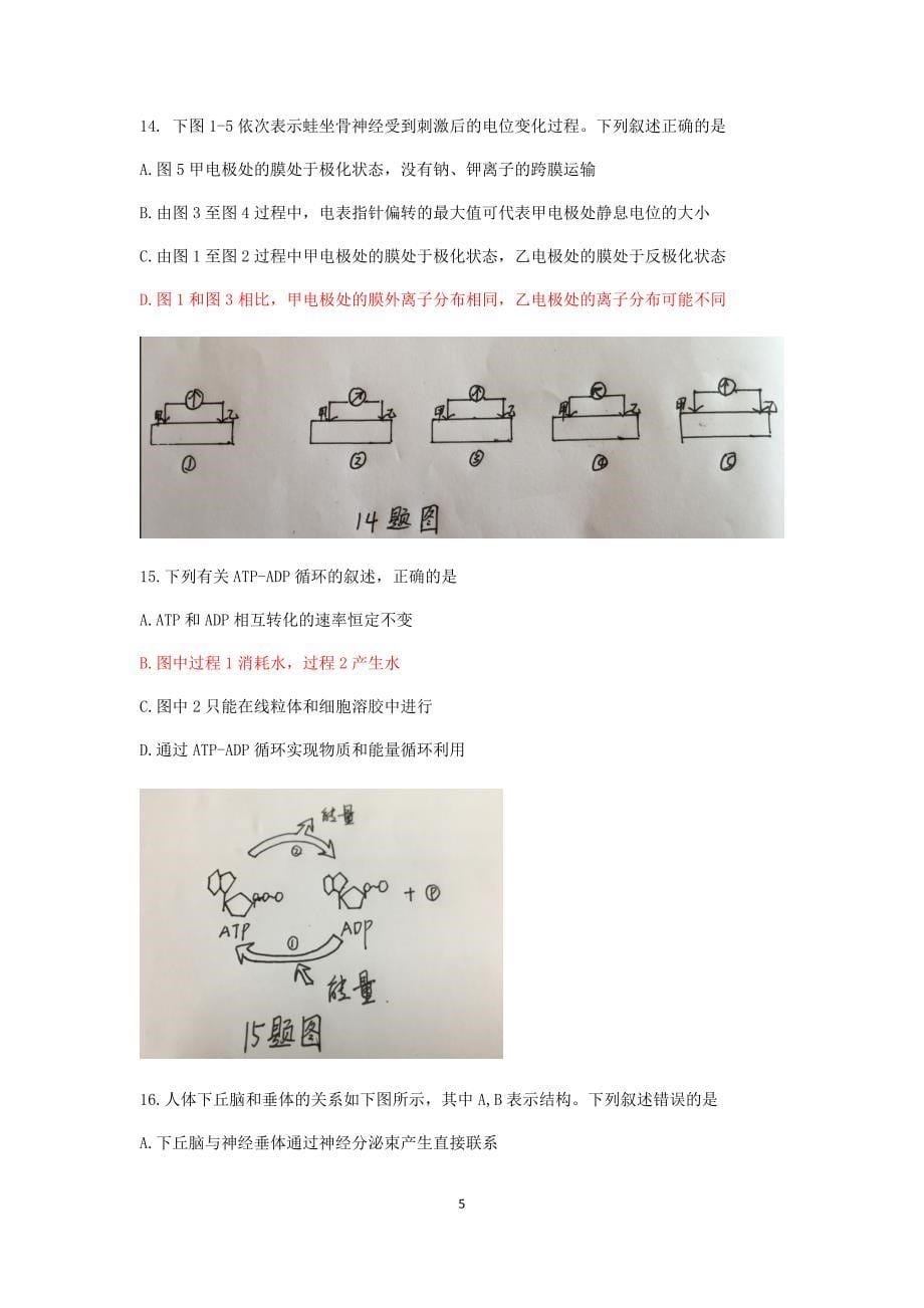 浙江省杭州市2019届高三高考命题比赛生物试题20 Word版含答案_第5页