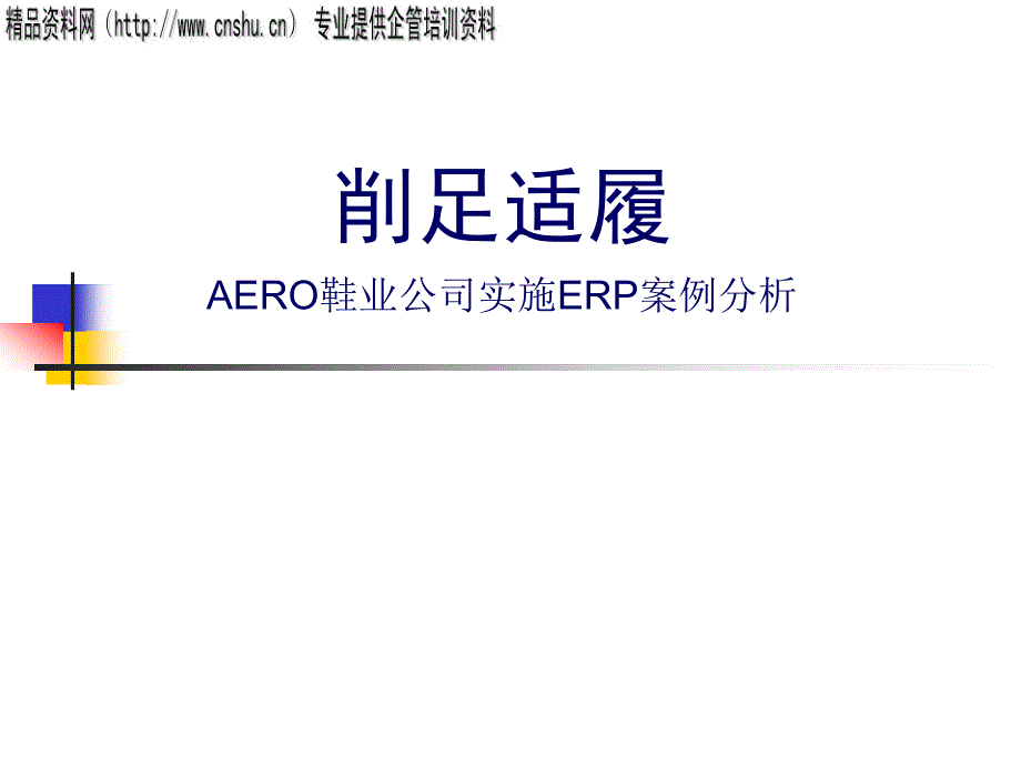 某鞋业公司实施ERP案例分析_第1页