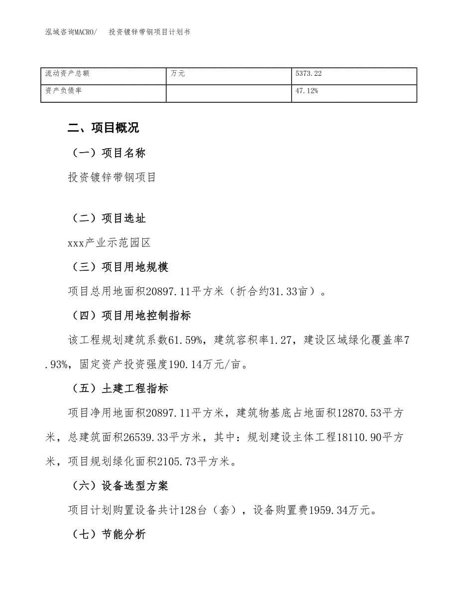 投资镀锌带钢项目计划书方案.docx_第5页