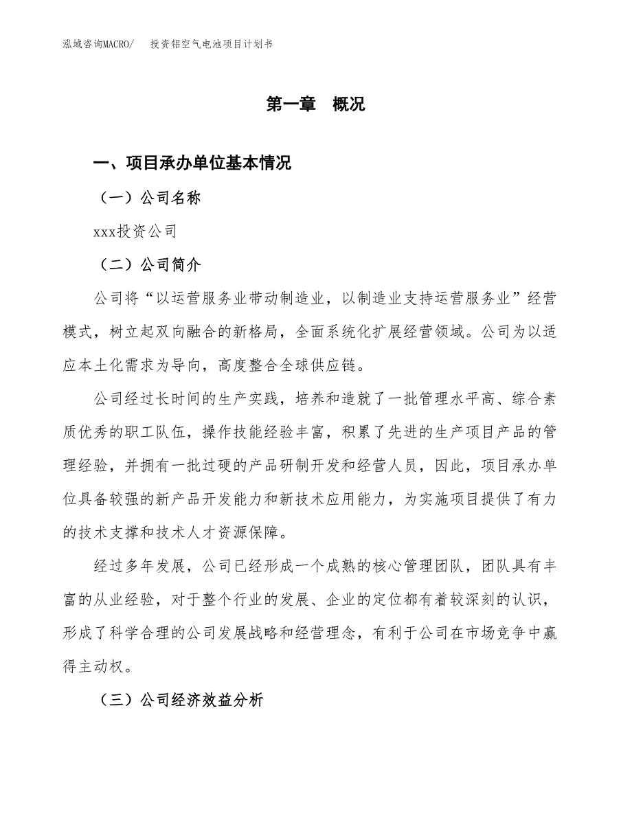 投资铝空气电池项目计划书方案.docx_第2页