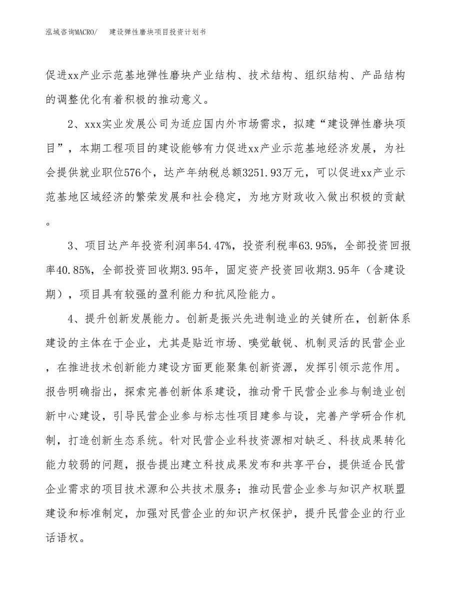 建设弹性磨块项目投资计划书方案.docx_第5页