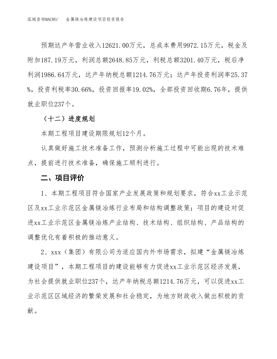 金属镁冶炼建设项目投资报告.docx_第3页