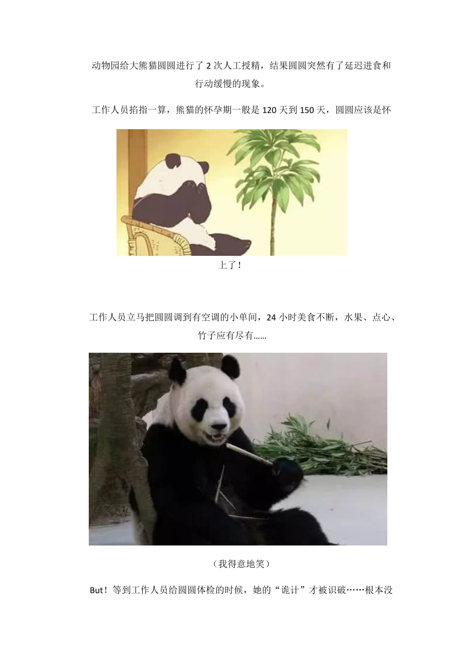 大熊猫也要骗吃骗喝_第2页