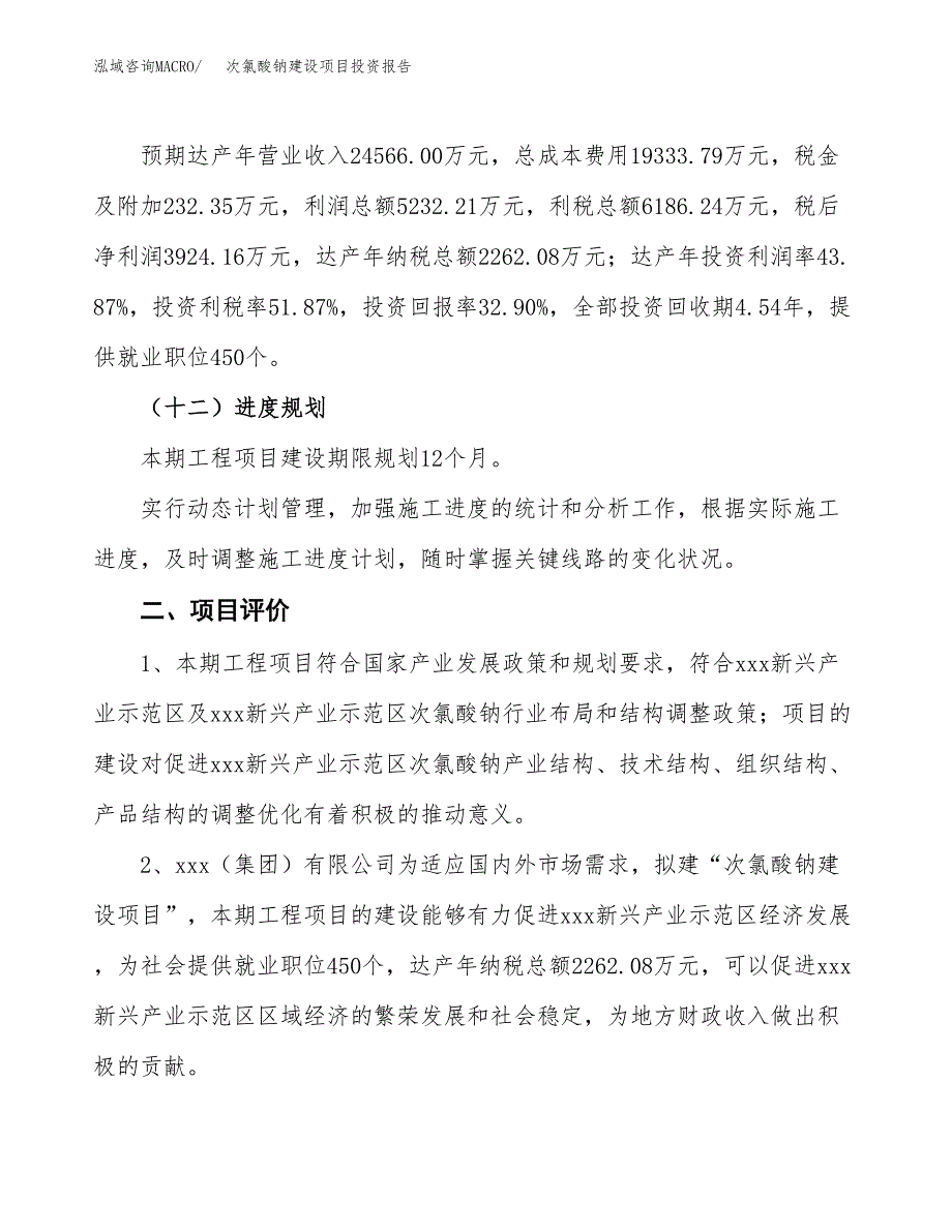 次氯酸钠建设项目投资报告.docx_第3页