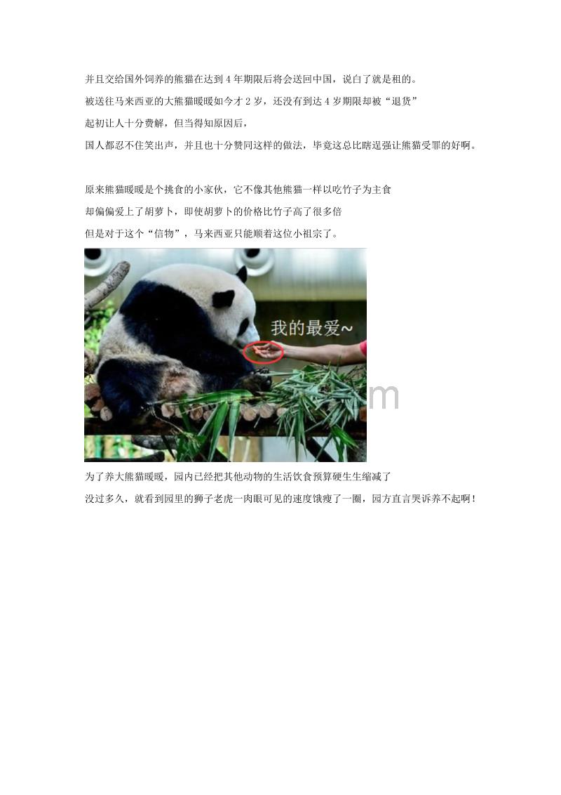 史上第一只被退货回国的大熊猫_第2页