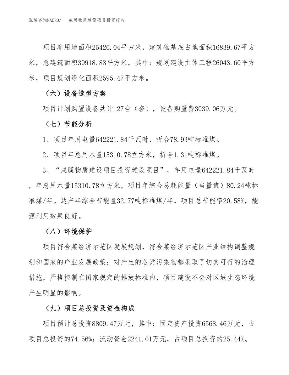 成膜物质建设项目投资报告.docx_第2页