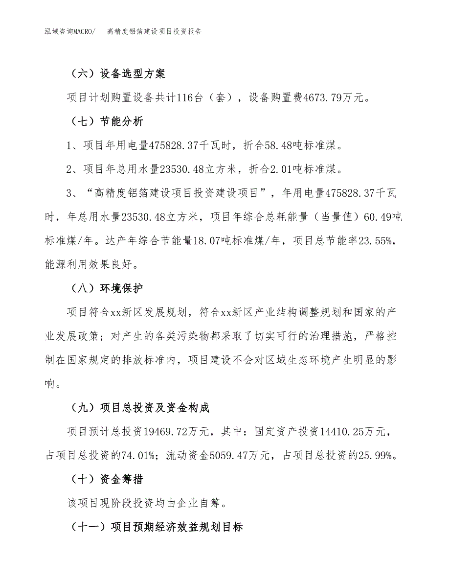 高精度铝箔建设项目投资报告.docx_第2页