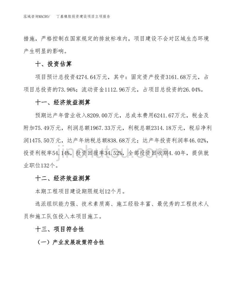 丁基橡胶投资建设项目立项报告(规划申请).docx_第5页