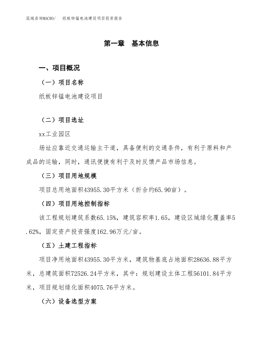 纸板锌锰电池建设项目投资报告.docx_第1页