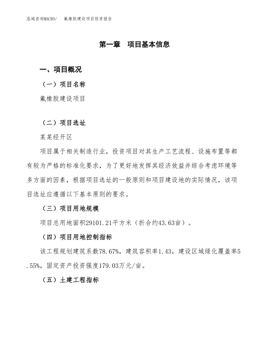 氟橡胶建设项目投资报告.docx_第1页