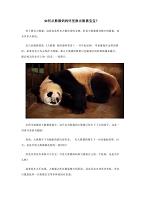 如何从熊猫妈妈怀里换出熊猫宝宝