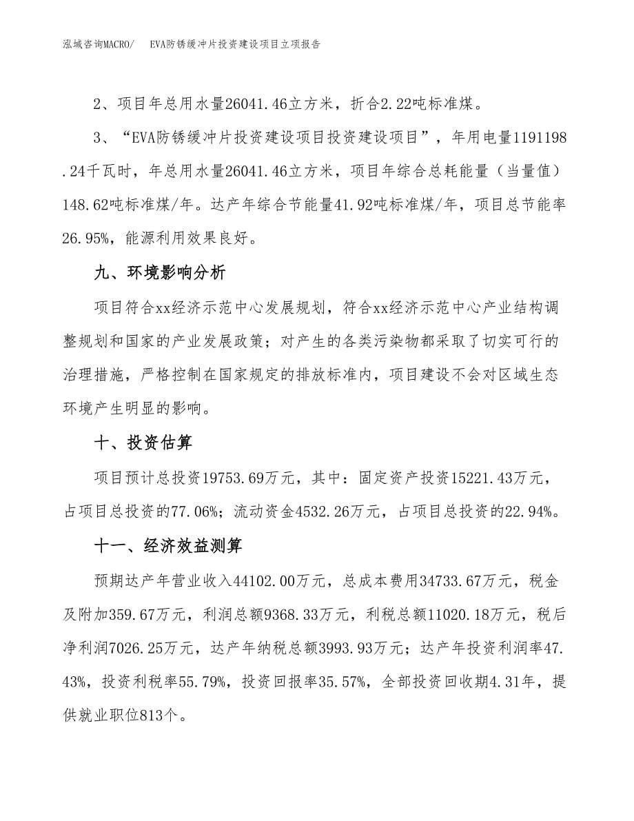 EVA防锈缓冲片投资建设项目立项报告(规划申请).docx_第5页