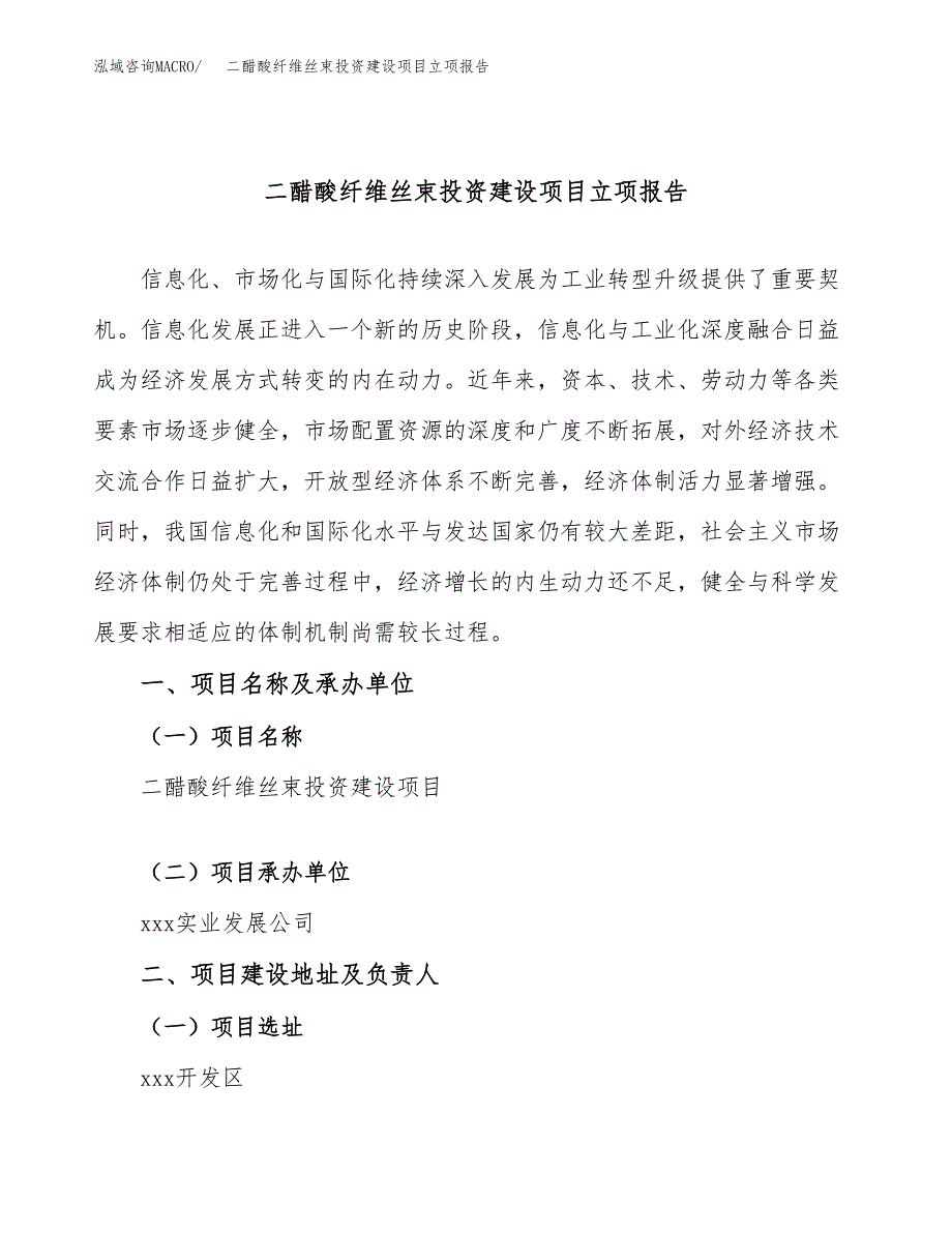 二醋酸纤维丝束投资建设项目立项报告(规划申请).docx_第1页