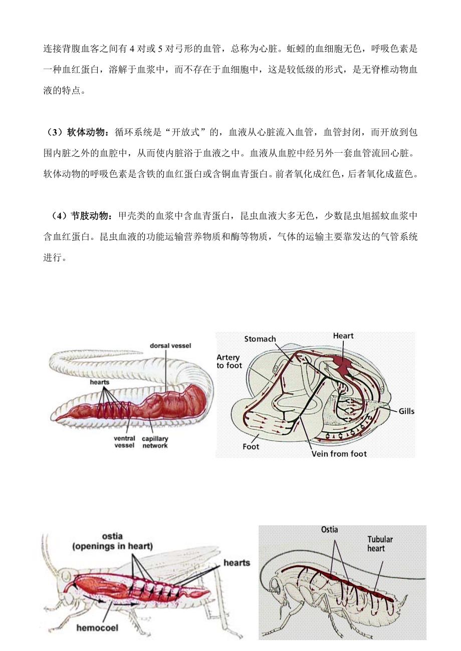 精校word版---高考专题十八：动物的运输系统_第2页