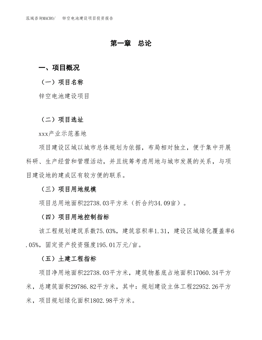 锌空电池建设项目投资报告.docx_第1页