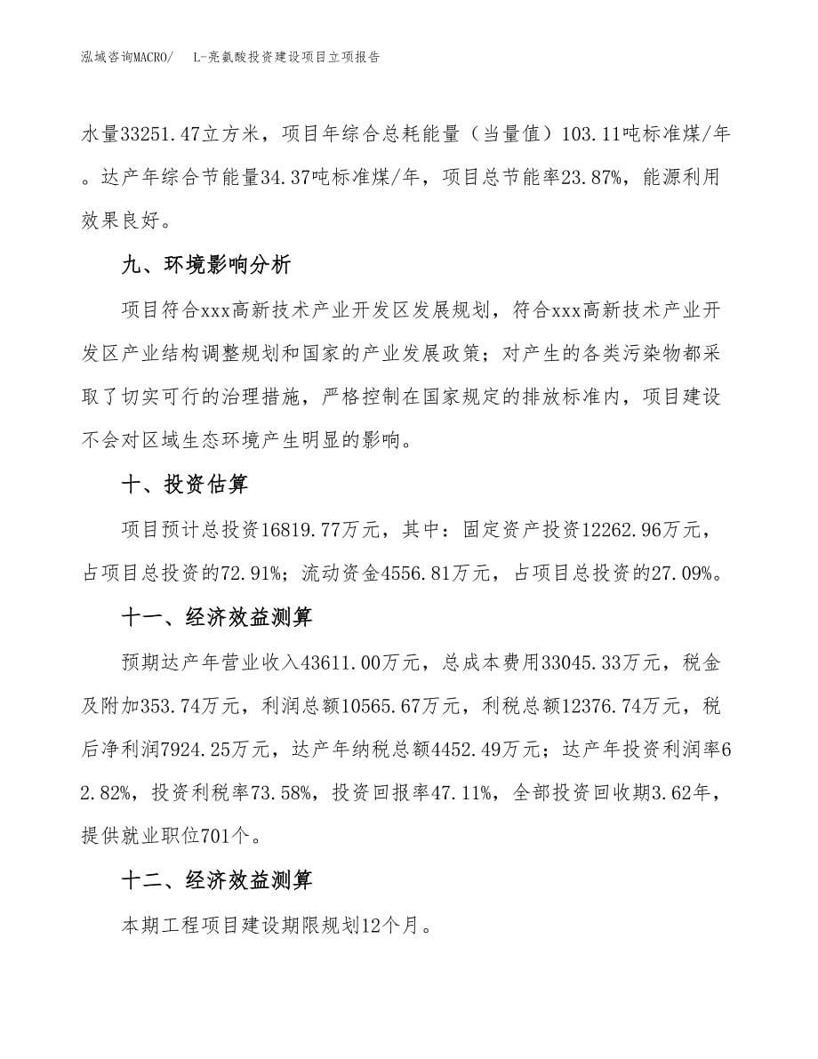 L-亮氨酸投资建设项目立项报告(规划申请).docx_第5页