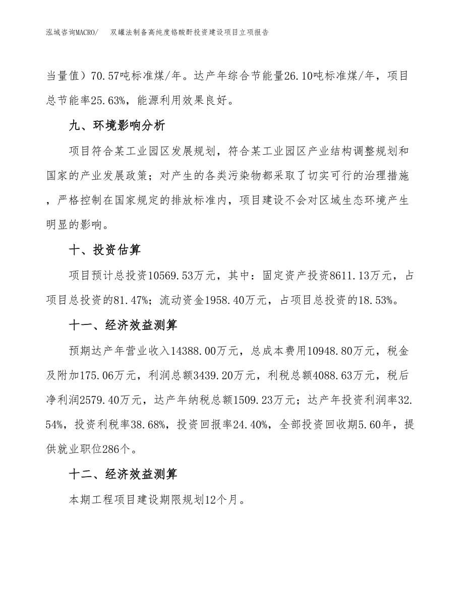 双罐法制备高纯度铬酸酐投资建设项目立项报告(规划申请).docx_第5页