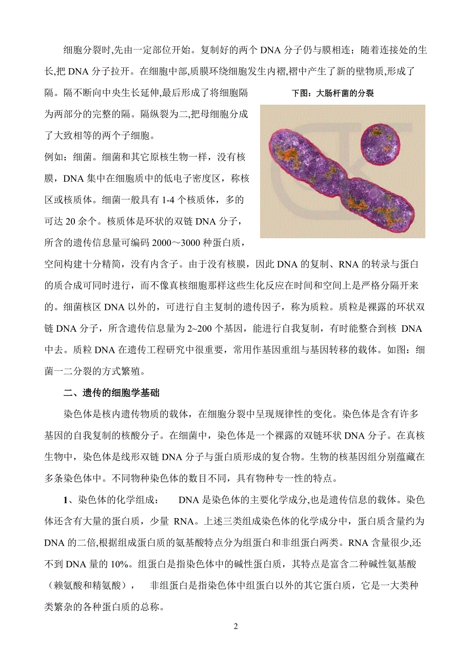 精校word版---高考专题六：细胞增殖与遗传_第2页