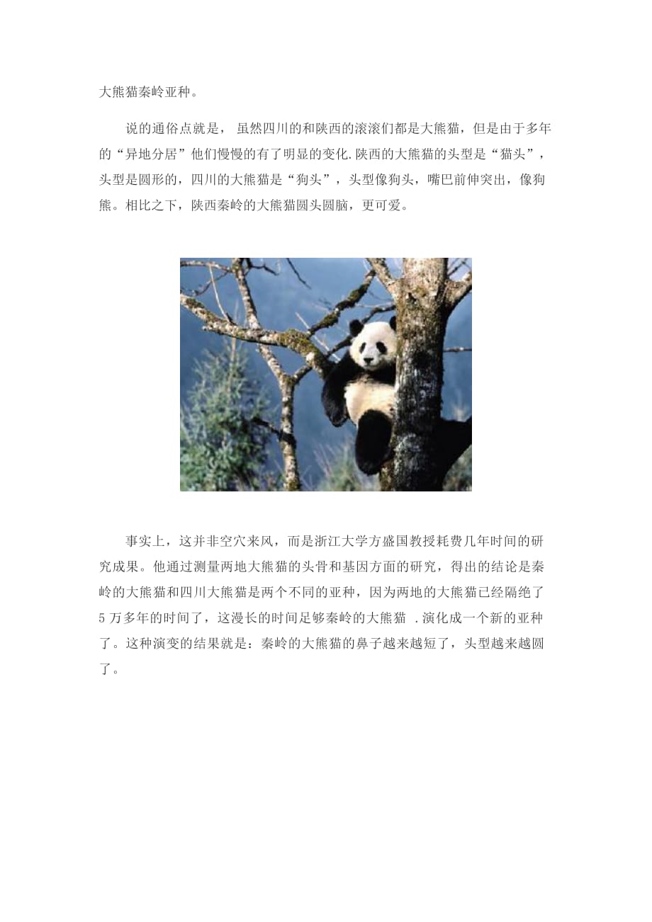 秦岭大熊猫 我们不要再低调了_第2页