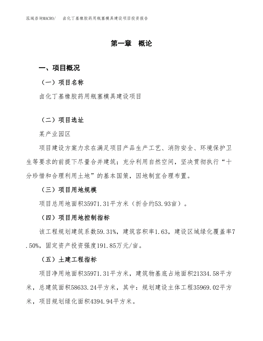 卤化丁基橡胶药用瓶塞模具建设项目投资报告.docx_第1页