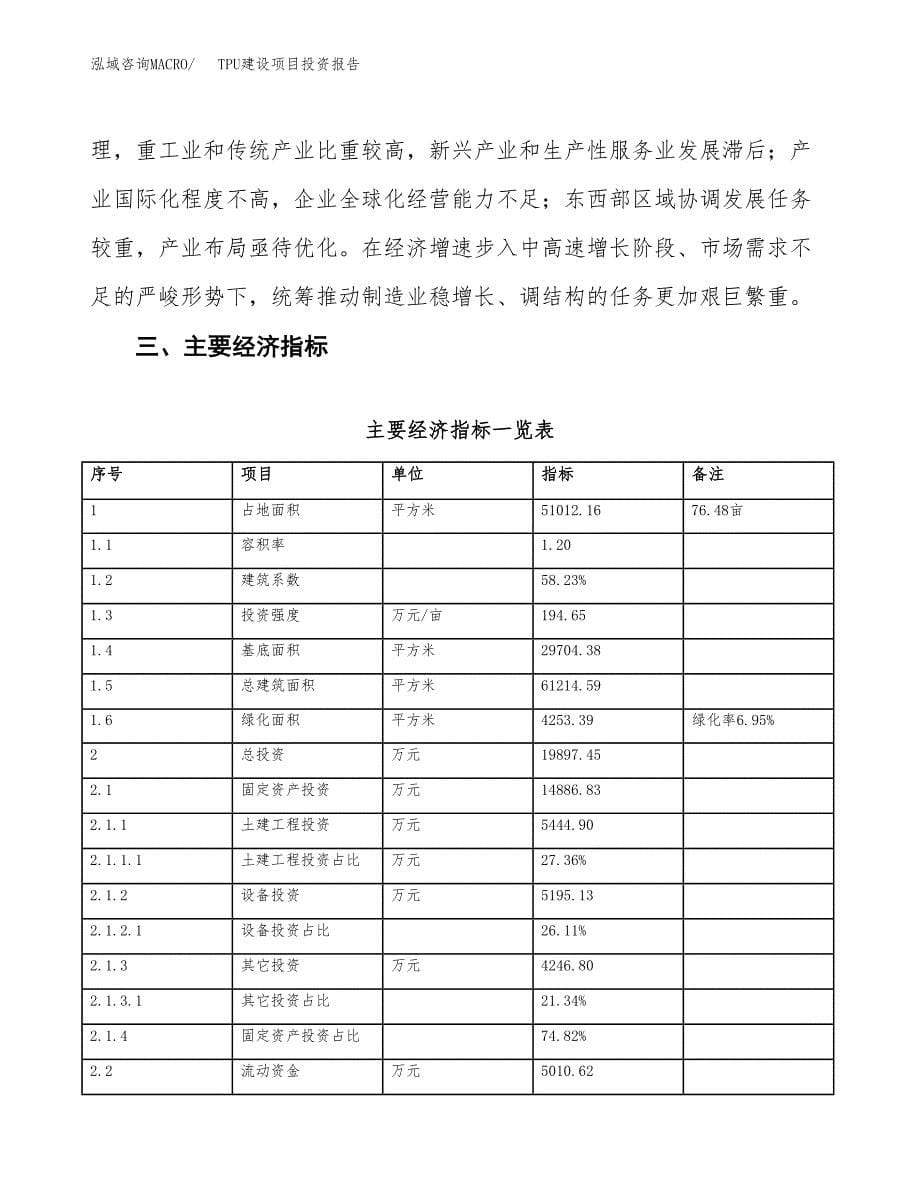 TPU建设项目投资报告.docx_第5页