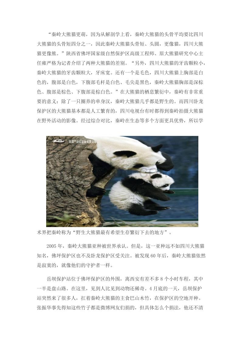 来给秦岭大熊猫捐些竹子吧_第2页
