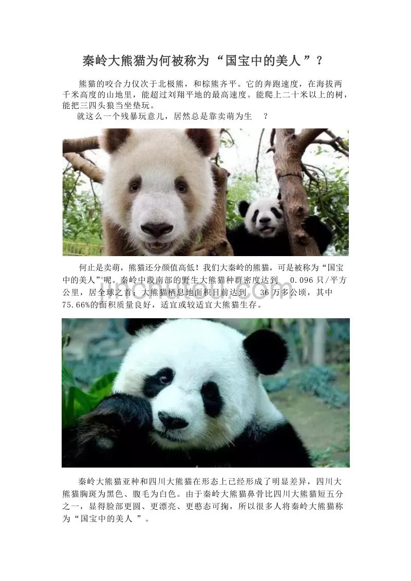 秦岭大熊猫为何被称为国宝中的美人_第1页
