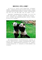 秦岭有多少野生大熊猫