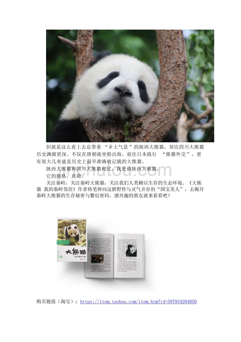 秦岭大熊猫  我最萌_第2页