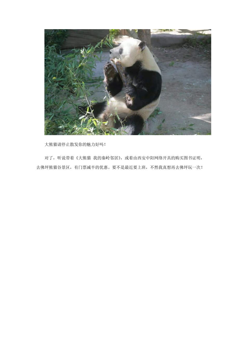 大熊猫吃播我可以看一整天_第3页