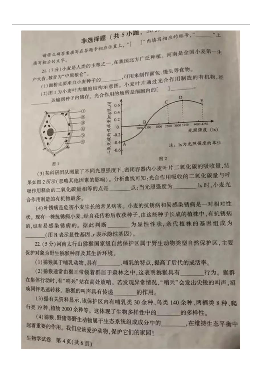 2019年河南省中考生物试题（图片版，含答案）_第4页