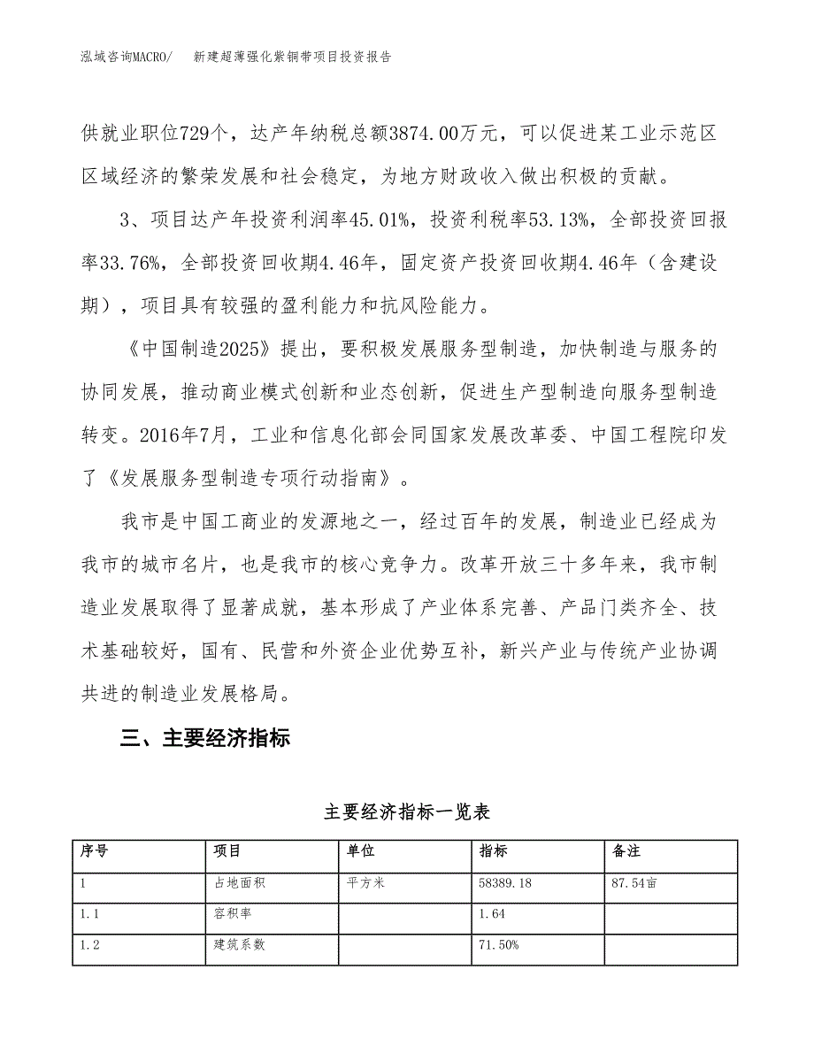 新建超薄强化紫铜带项目投资报告(项目申请).docx_第4页