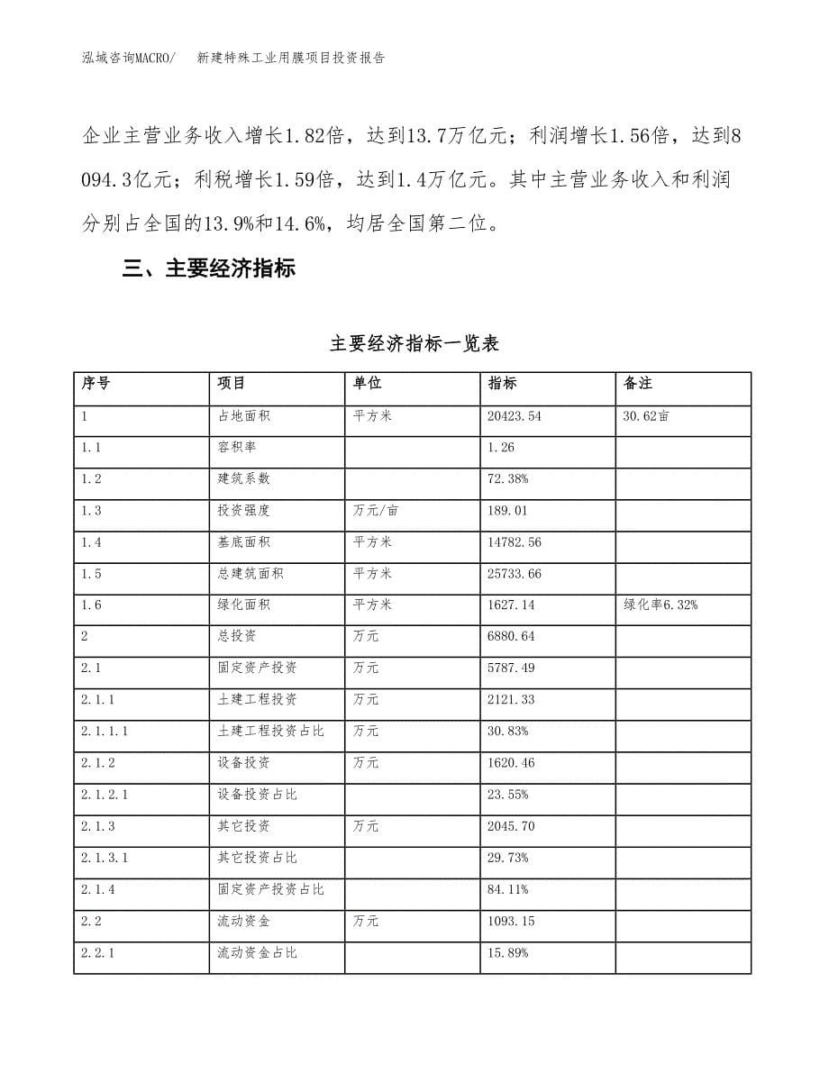 新建特殊工业用膜项目投资报告(项目申请).docx_第5页