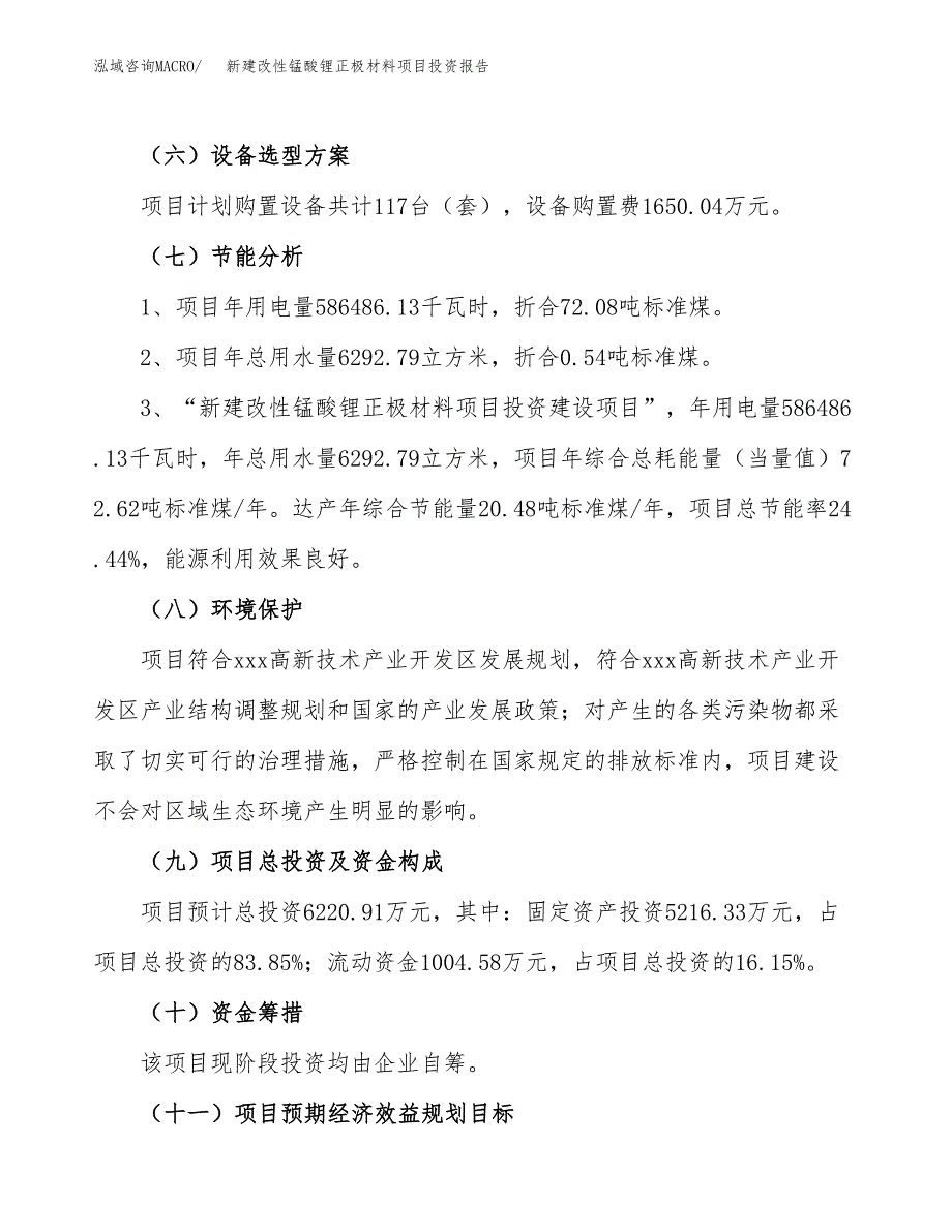 新建改性锰酸锂正极材料项目投资报告(项目申请).docx_第2页