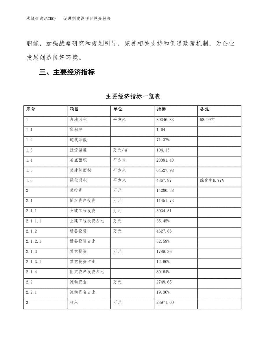 促进剂建设项目投资报告.docx_第5页