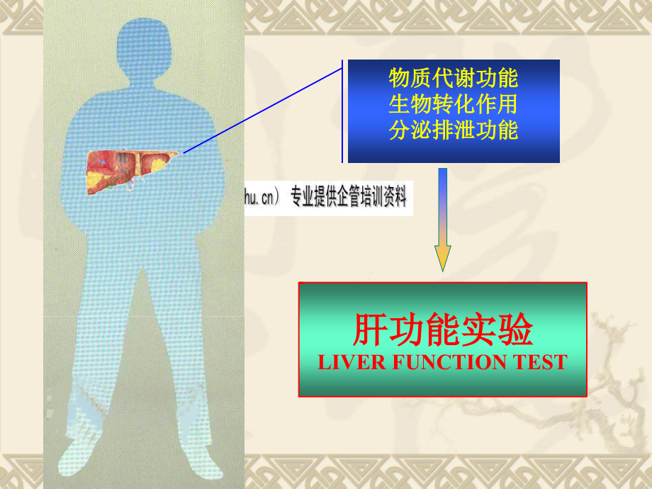 试论肝脏病常用实验室检查_第3页