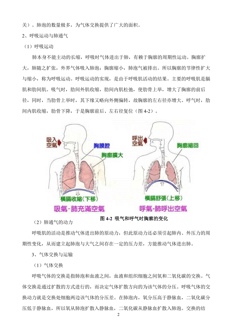 精校word版---高考专题四：呼吸作用_第2页