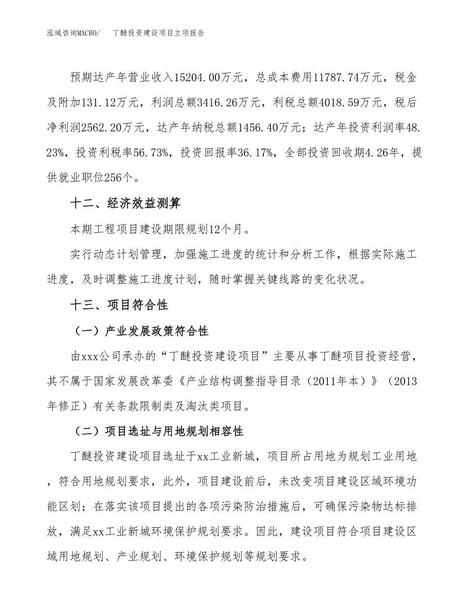 丁醚投资建设项目立项报告(规划申请).docx_第5页