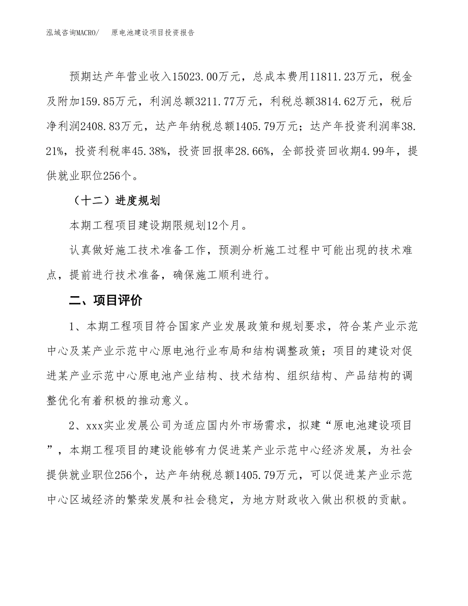 原电池建设项目投资报告.docx_第3页