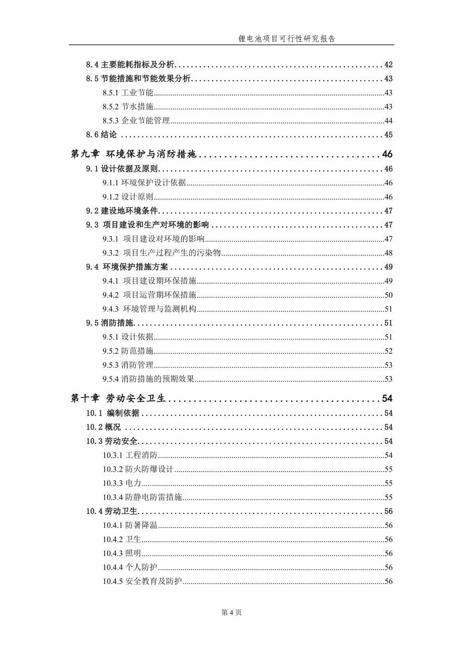 锂电池项目可行性研究报告（备案实用案例）_第5页
