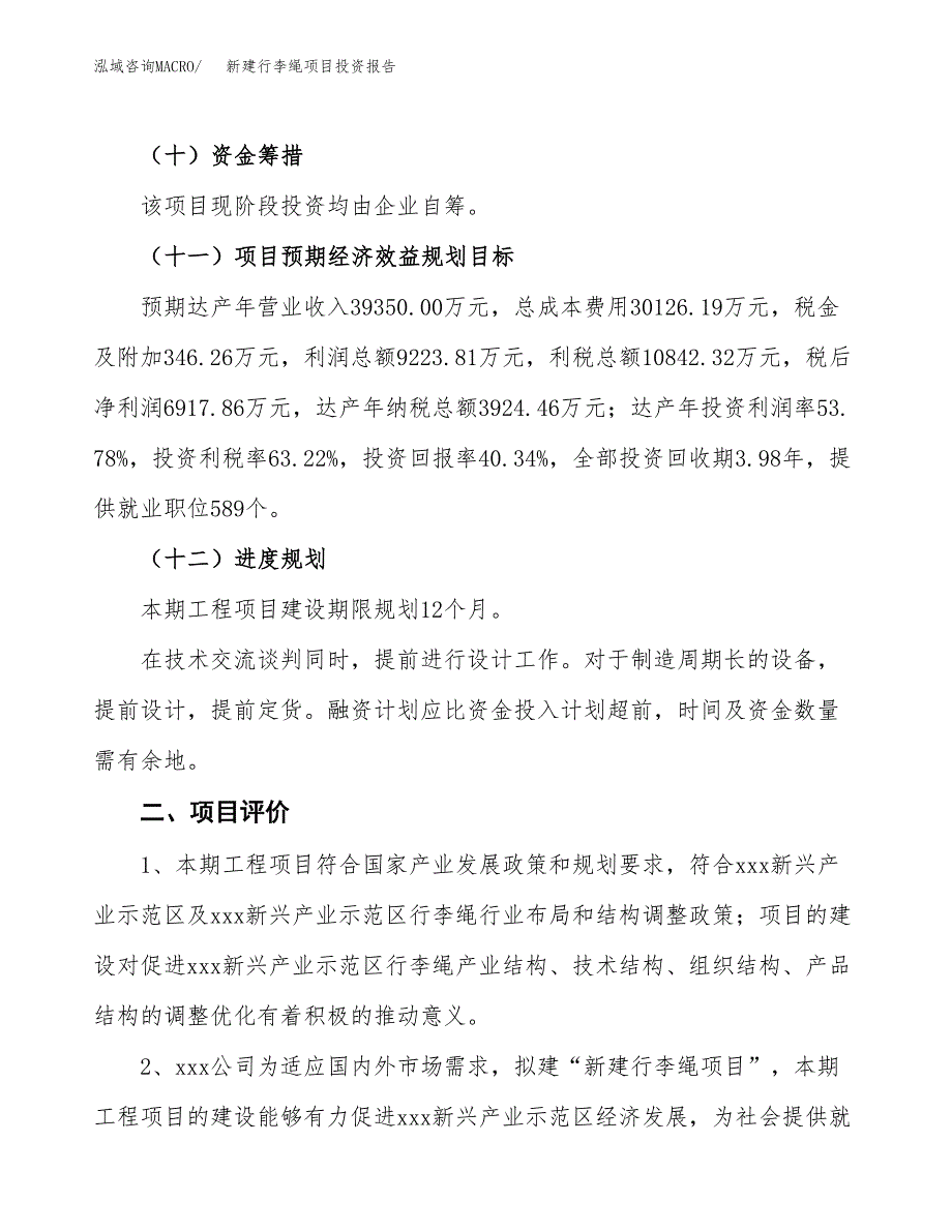 新建行李绳项目投资报告(项目申请).docx_第3页