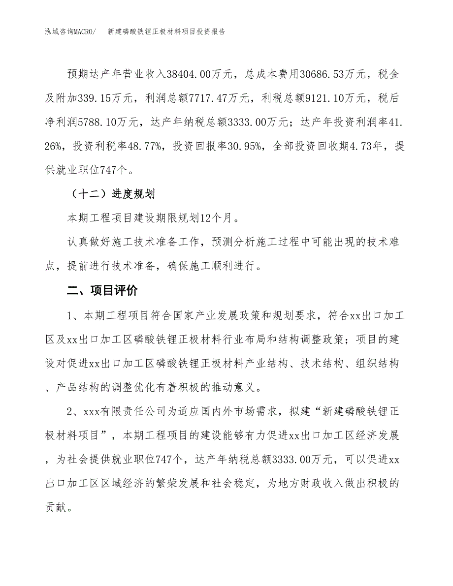 新建磷酸铁锂正极材料项目投资报告(项目申请).docx_第3页