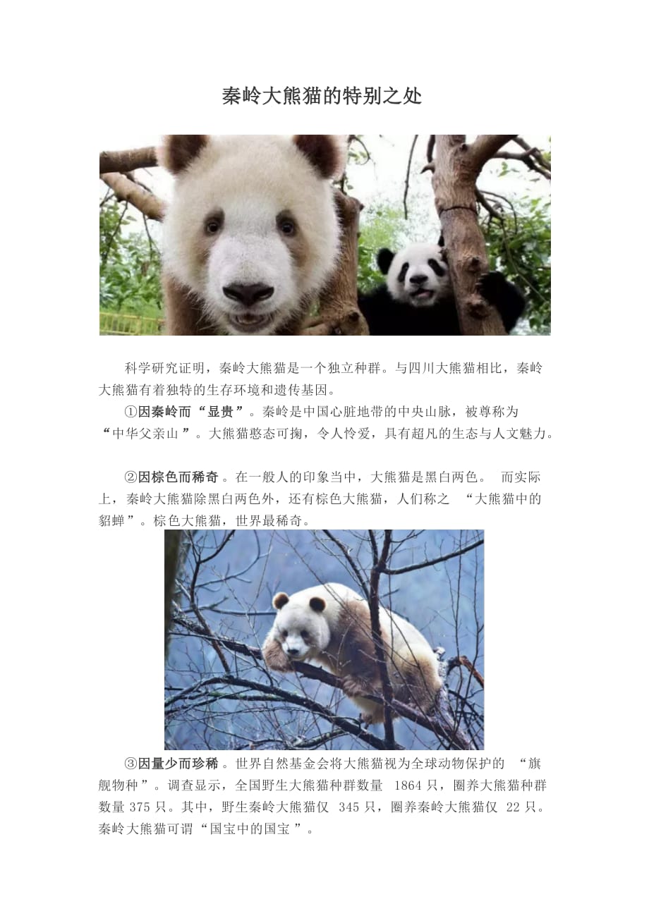 秦岭大熊猫的特别之处_第1页